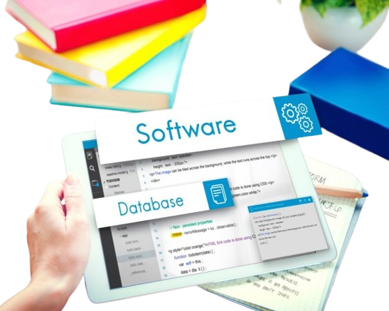Custom Software vs Ready-Made Software - Which is Better?